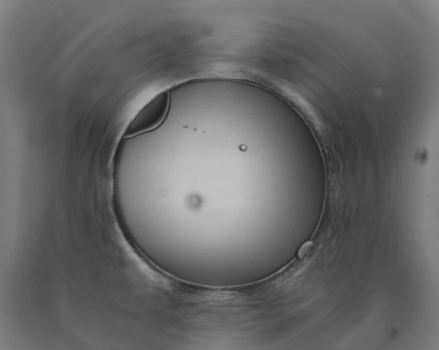 X0000090601479200707311151