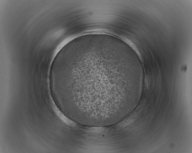 X0000090601482200707311151