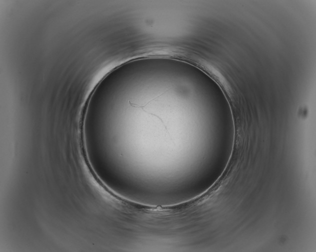 X0000090601483200707311151