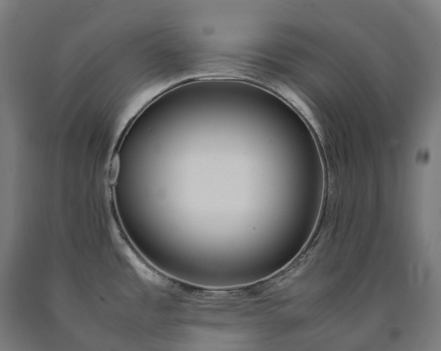 X0000090601485200707311151