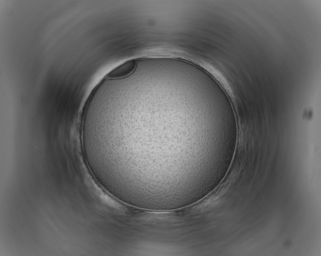 X0000090601486200707311151