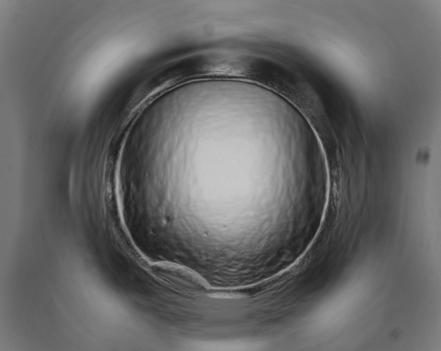 X0000090601487200707311151