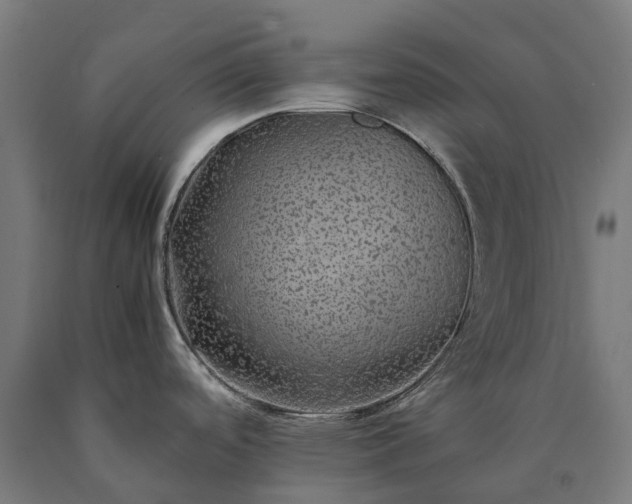 X0000090601488200707311151