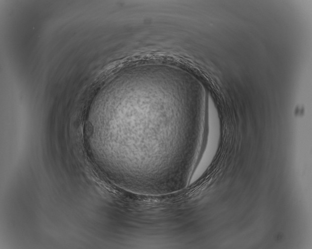 X0000090601489200707311150