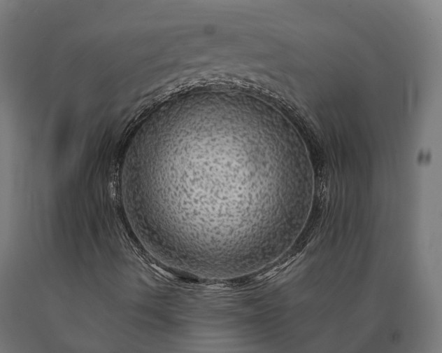 X0000090601490200707311150