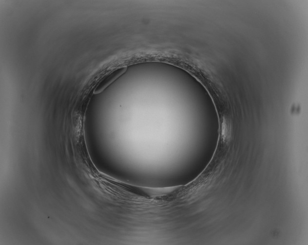 X0000090601492200707311150