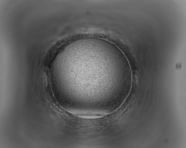 X0000090601493200707311150