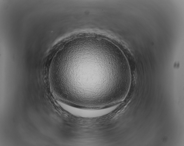 X0000090601494200707311150