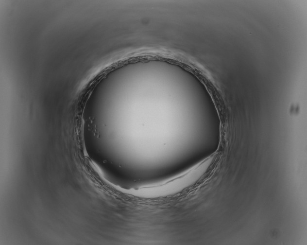 X0000090601496200707311150