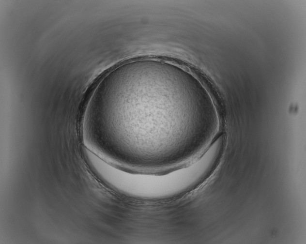 X0000090601497200707311150