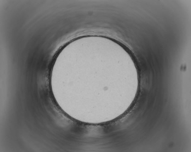 X0000090601498200707311150