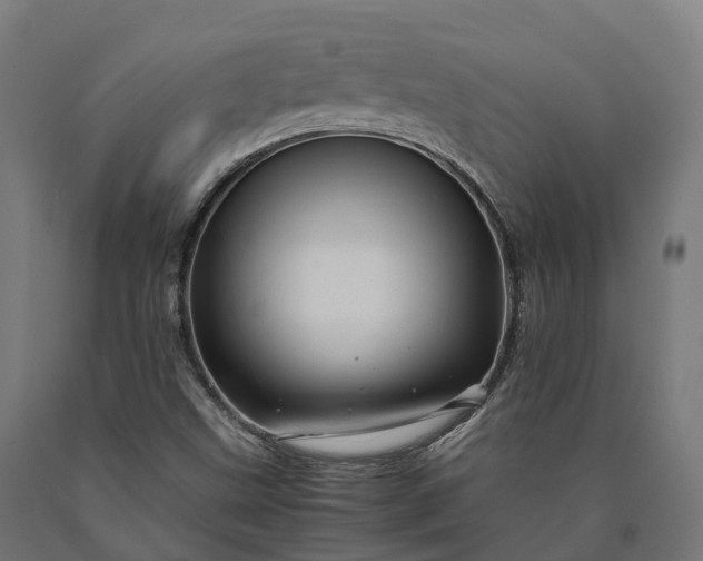 X0000090601499200707311150