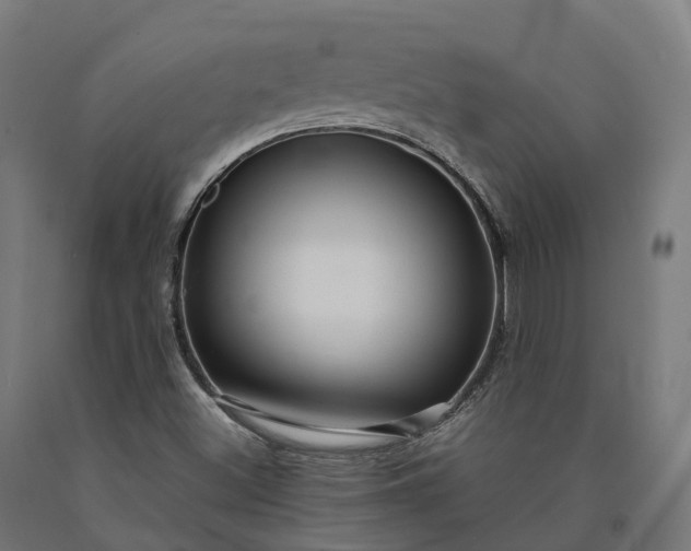 X0000090601500200707311150