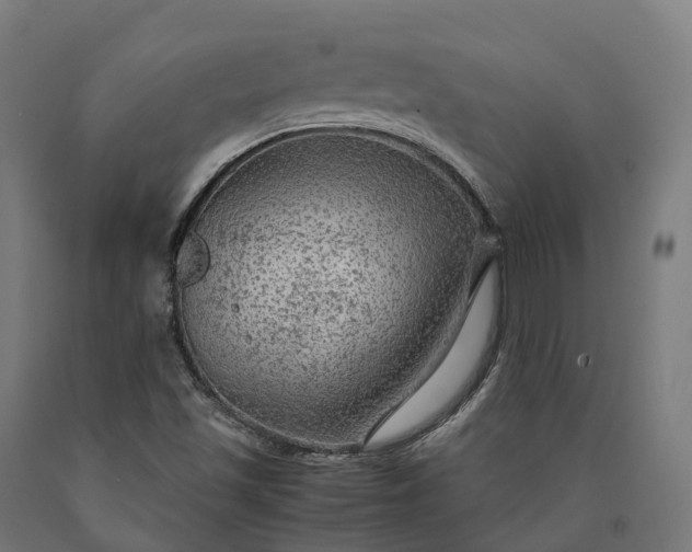 X0000090601501200707311150