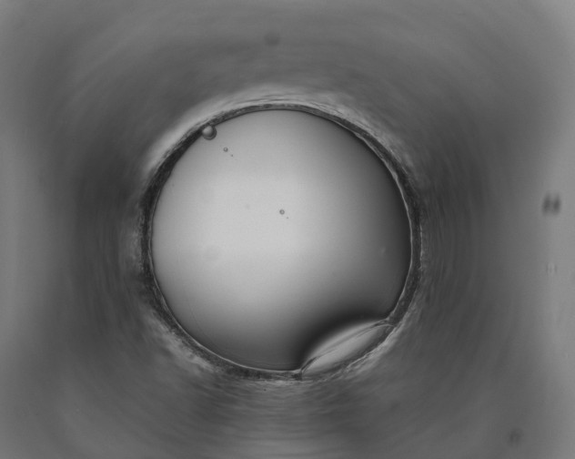 X0000090601502200707311150