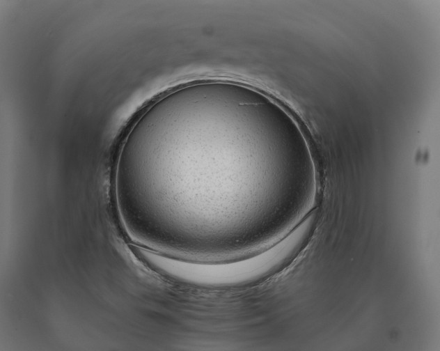 X0000090601503200707311150