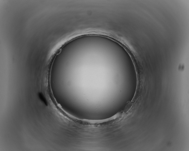 X0000090601504200707311150