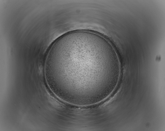 X0000090601505200707311150