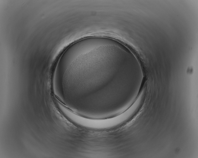 X0000090601506200707311150