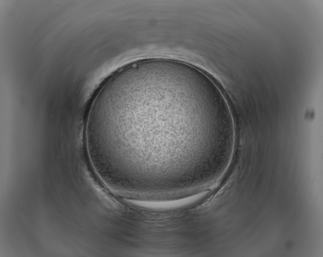 X0000090601507200707311150