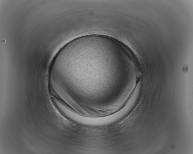 X0000090601508200707311150