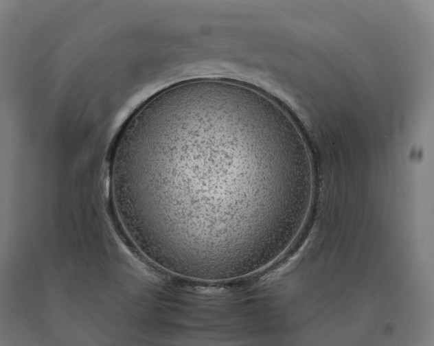 X0000090601509200707311150