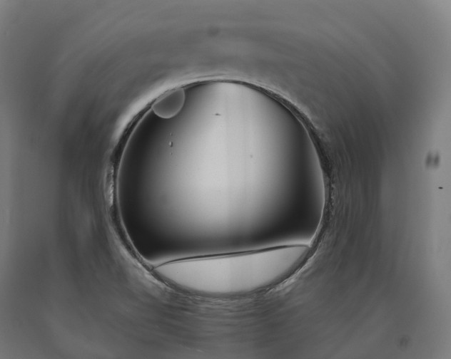 X0000090601510200707311151