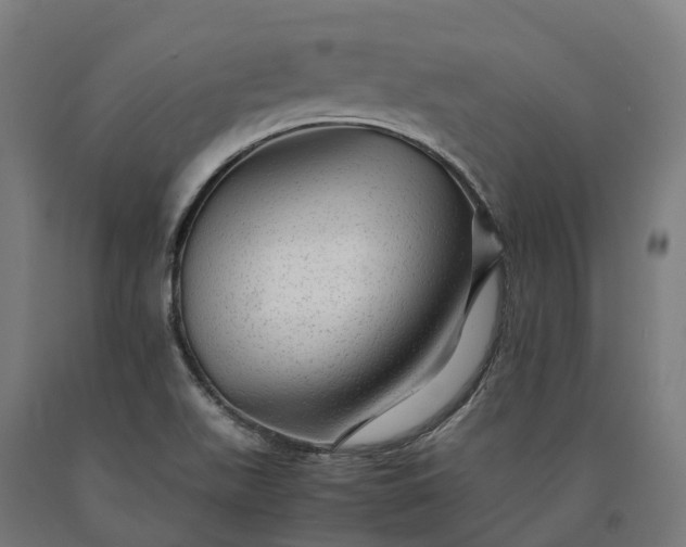 X0000090601511200707311151