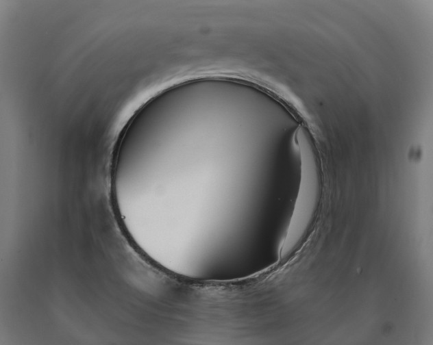 X0000090601512200707311151