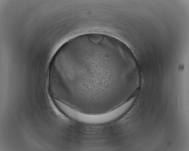 X0000090601515200707311151