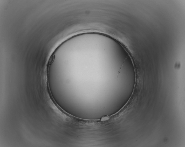 X0000090601516200707311151