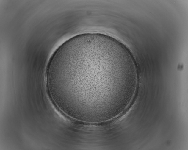 X0000090601517200707311151