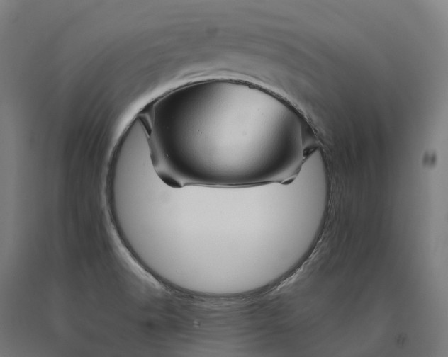 X0000090601518200707311151