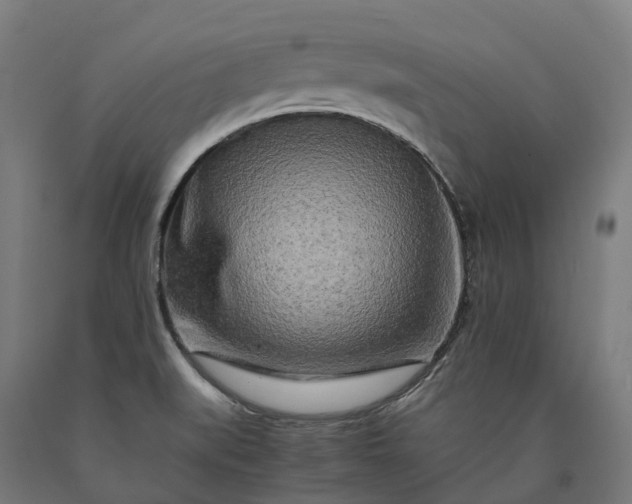 X0000090601519200707311151