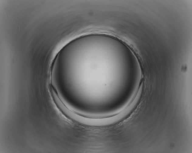 X0000090601520200707311151