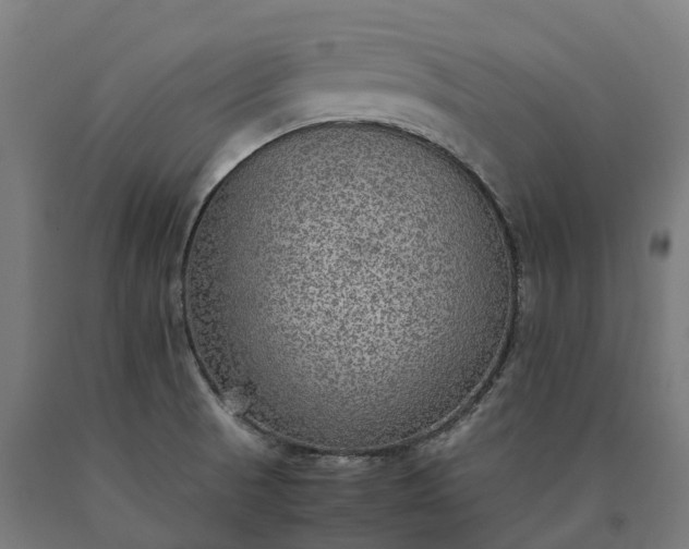 X0000090601521200707311151