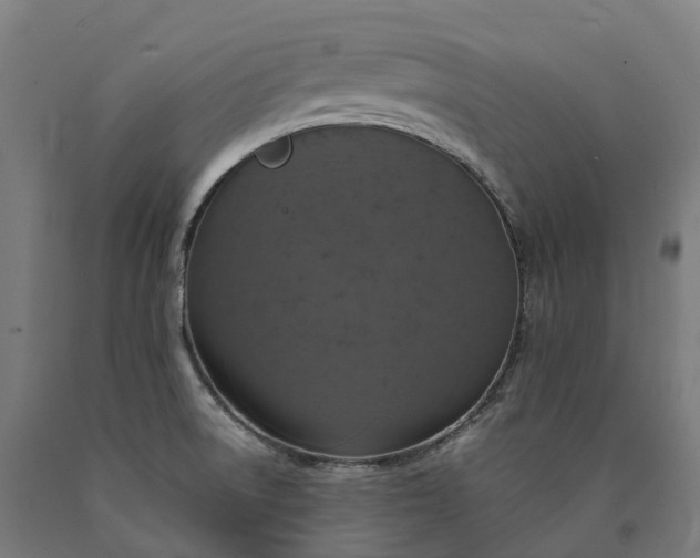 X0000090601522200707311151