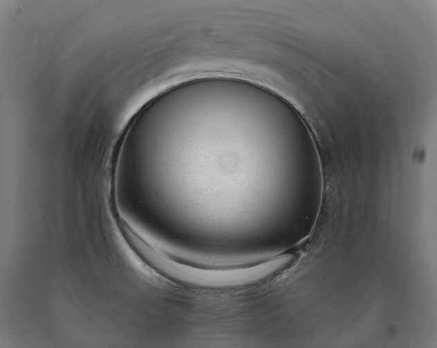 X0000090601523200707311151