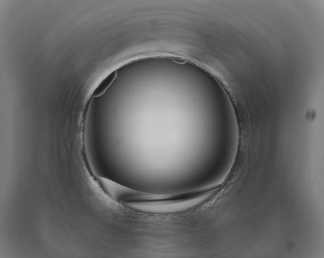 X0000090601524200707311151