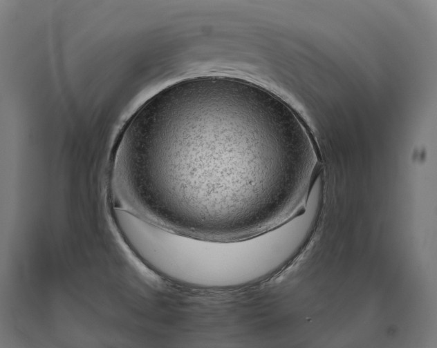 X0000090601525200707311151