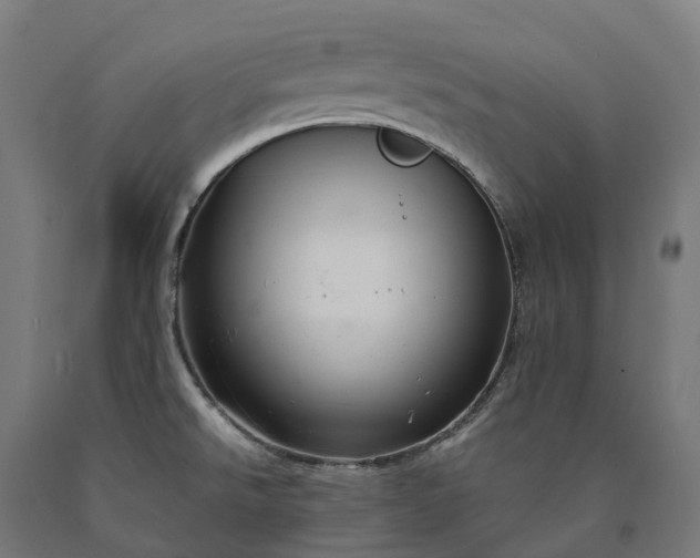 X0000090601526200707311151