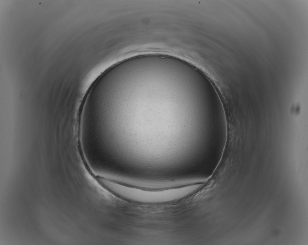 X0000090601527200707311151