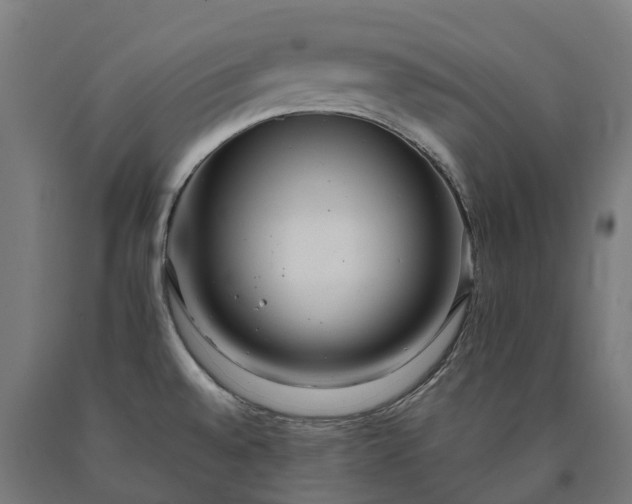 X0000090601528200707311151