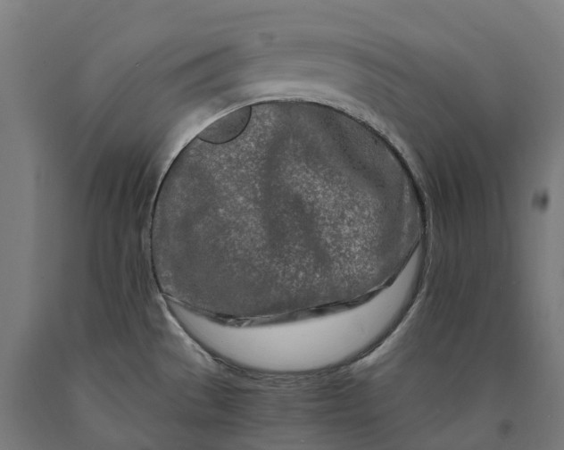 X0000090601529200707311151