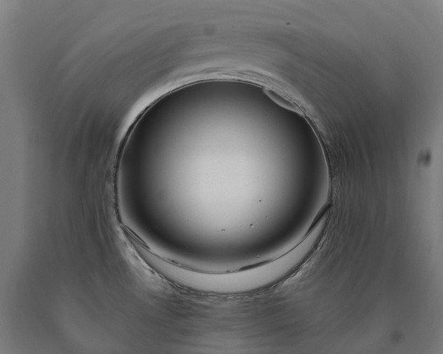 X0000090601530200707311151