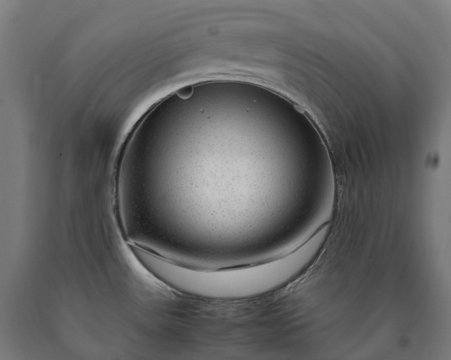 X0000090601531200707311151