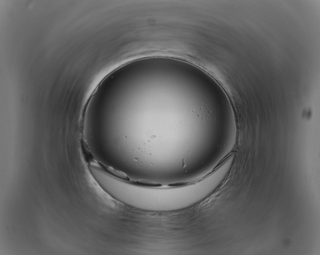 X0000090601532200707311151