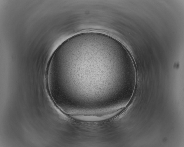 X0000090601533200707311151