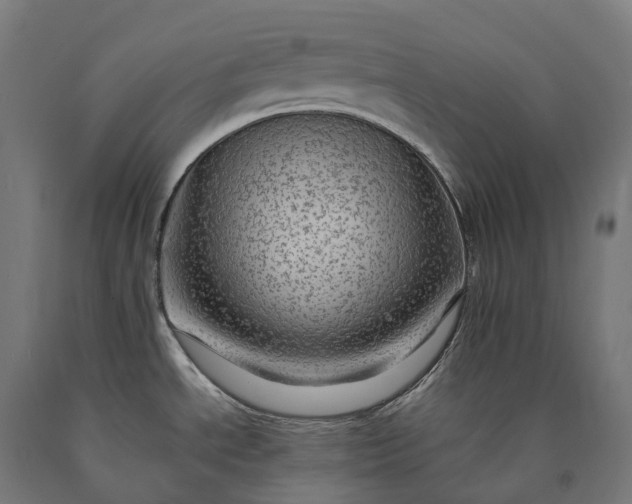 X0000090601534200707311151