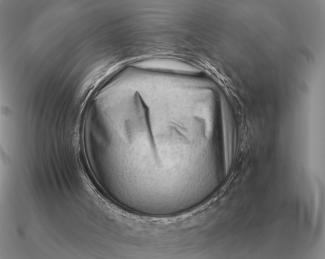 X0000090600002200708071152